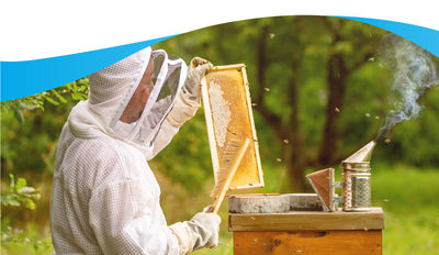 How to Choose the Right Bee Suit for Your Apiary (and Why the One from YNR Instruments Hits the Mark)