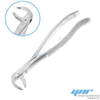 YNR® Dental Tooth Extraction Forceps Tools Upper Lower Molars Roots Dentist Surgery Tools CE Mark (NO-33L Lower Roots)