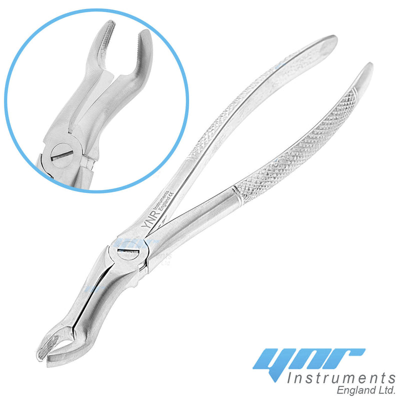 YNR® Dental Tooth Extraction Forceps Tools Upper Lower Molars Roots Dentist Surgery Tools CE Mark (NO-67U Upper Wisdoms)