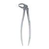 YNR® Dental forceps Dental Forceps No. 13 Lower Premolars Extraction