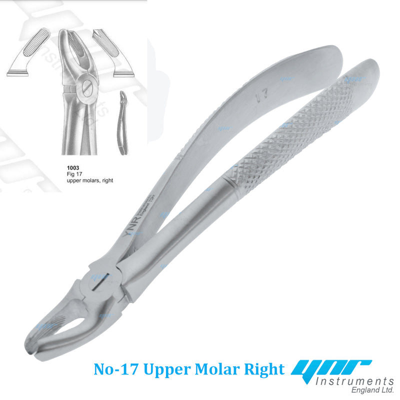 YNR® Dental Tooth Extraction Forceps Tools Upper Lower Molars Roots Dentist Surgery Tools CE Mark (NO-17 Upper Molars Right)