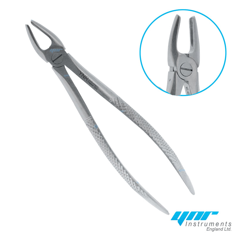 YNR® Dental Tooth Extraction Forceps Tools Upper Lower Molars Roots Dentist Surgery Tools CE Mark (NO-2 Upper Molars)
