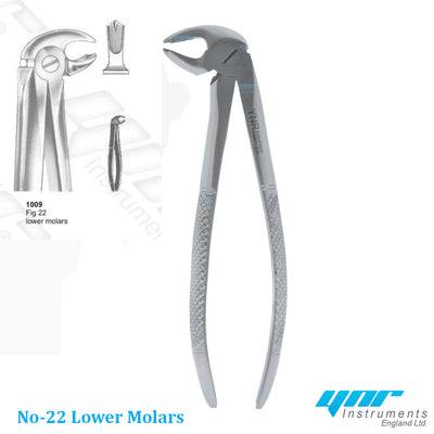 YNR® Dental Tooth Extraction Forceps Tools Upper Lower Molars Roots Dentist Surgery Tools CE Mark (NO-22 Lower Molars)