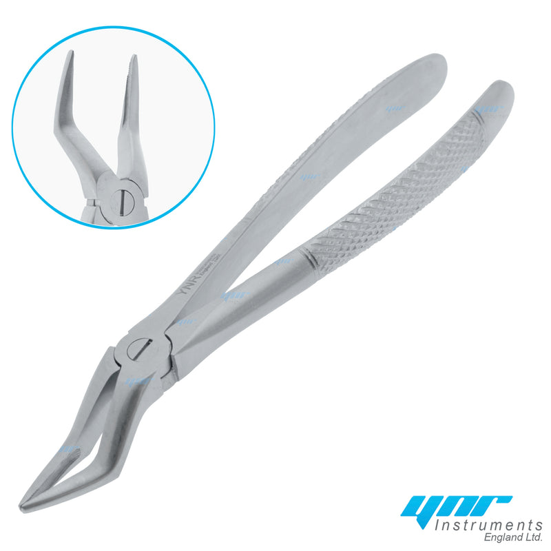 YNR® Dental Tooth Extraction Forceps Tools Upper Lower Molars Roots Dentist Surgery Tools CE Mark (NO-51A Upper Roots)
