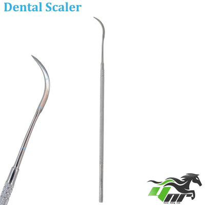 15" Equine Horse Dental Mouth Teeth Scaling Probe Scaler Explorer Pick Tools Veterinary Scaler Kit