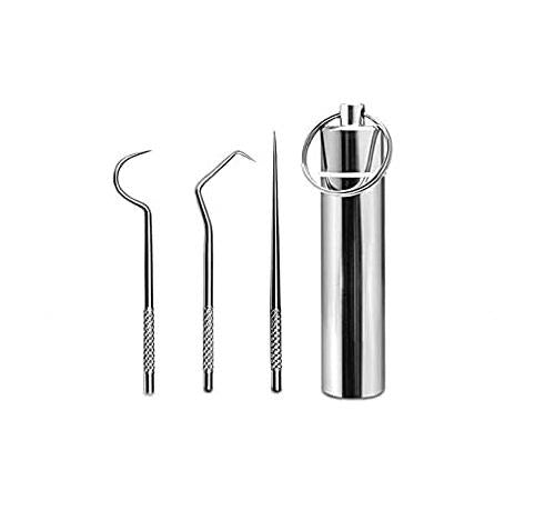 Dental Kit Toothpick Set Metal Stainless Steel Oral Tooth Cleaning with Storage