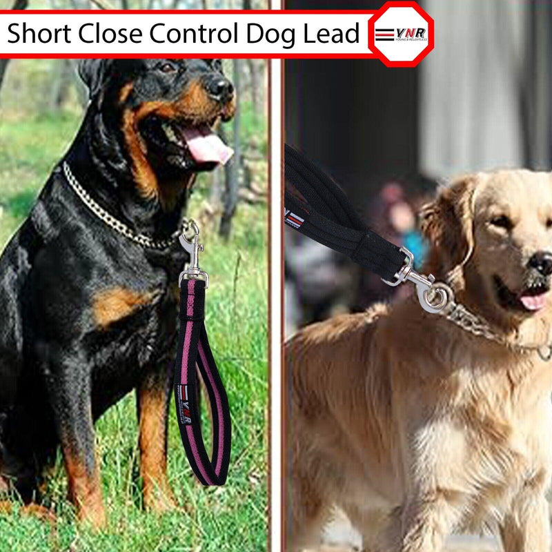 10" Short Dog Training Lead Leash Grab Handle Close / Traffic Control 25mm Wide