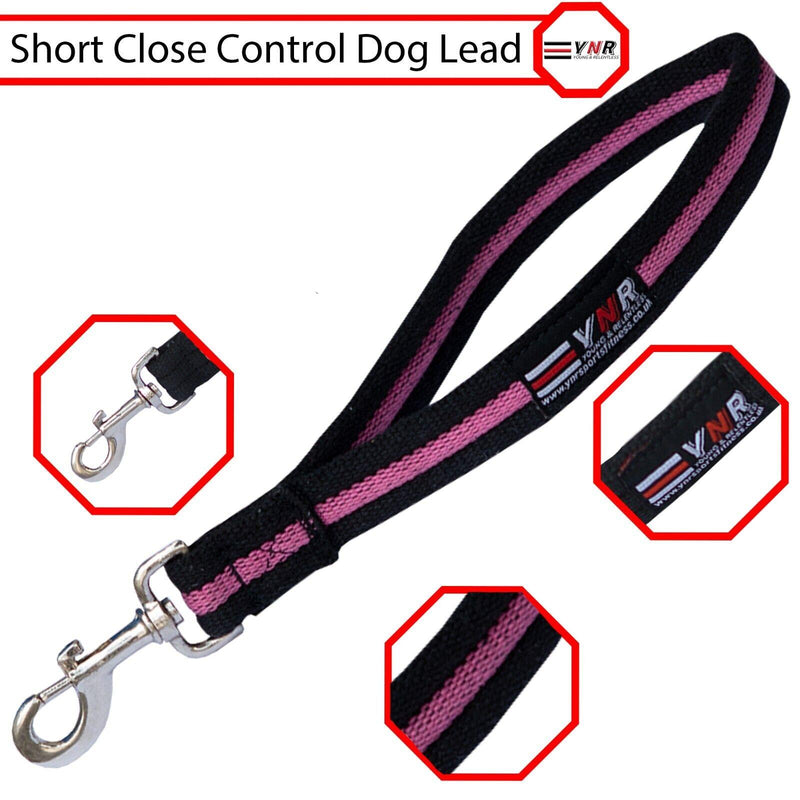 10" Short Dog Training Lead Leash Grab Handle Close / Traffic Control 25mm Wide