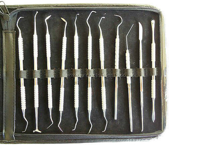 YNR England Dental Forceps Root Elevator Cartridge Pick Probes Scalpel 20pc KIT