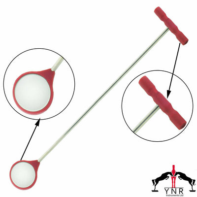 YNR Equine Dental Mouth Mirror Curved Veterinary Dentistry First Aid Instruments