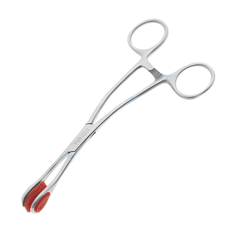 Young Tongue Forceps Surgical Dental Veterinary Body Piercing Instruments CeMark