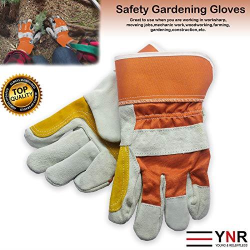 dornenfeste handschuhe Gartenhandschuhe für Herren/Damen, Schnitt- & Farbe:Champagne Gold Die Essigbibel - von Foldable Electric Bike