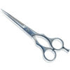 Professional Hairdressing Scissors Shears Barber Hair Cutting Salon Razor Sharp